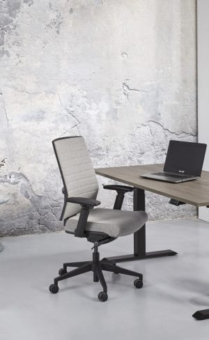 Bureau assis/debout électrique - 120 x 80 cm